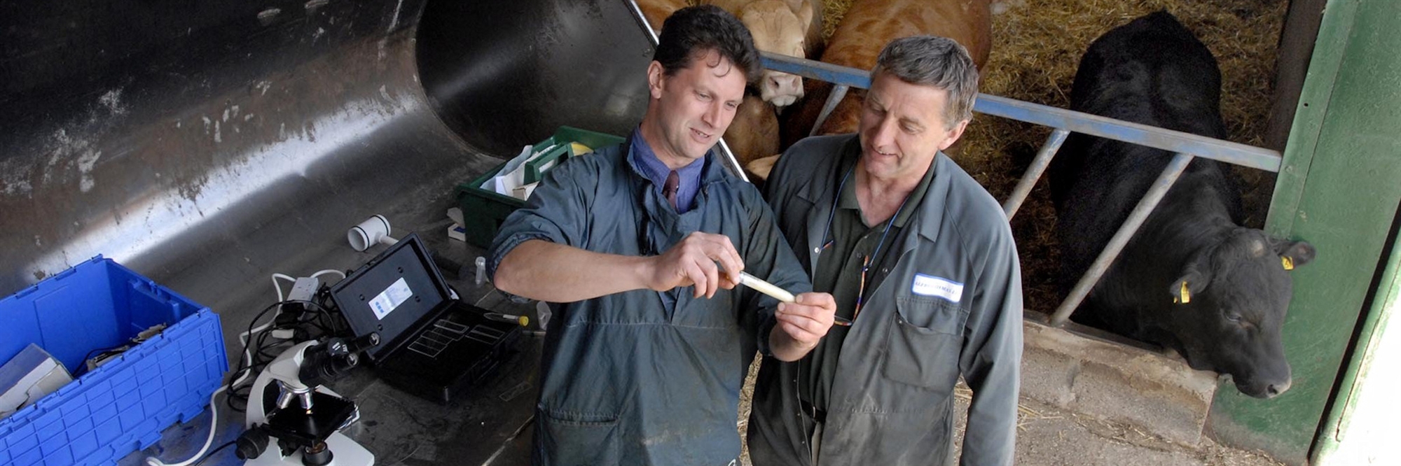 Vet farmers discuss test results in front of some cows